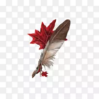 剪贴画彩色羽毛-空若网 剪贴画彩色羽毛-空若网