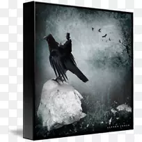 白色海报-水彩乌鸦-空若网 白色海报-水彩乌鸦-空若网