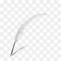 羽毛-吸引人的羽毛材料-空若网 羽毛-吸引人的羽毛材料-空若网