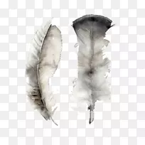 羽毛水彩画艺术画布水墨羽毛-空若网 羽毛水彩画艺术画布水墨羽毛-空若网