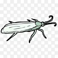 昆虫绘画剪贴画.昆虫-空若网 昆虫绘画剪贴画.昆虫-空若网