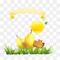 剪贴画横幅太阳-空若网 剪贴画横幅太阳-空若网