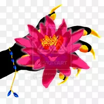 花瓣切花开花植物-空若网 花瓣切花开花植物-空若网