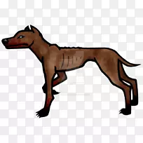 犬种意大利灰狗鼻子夹艺术-空若网 犬种意大利灰狗鼻子夹艺术-空若网