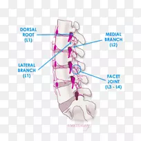 鞋体设计-空若网 鞋体设计-空若网
