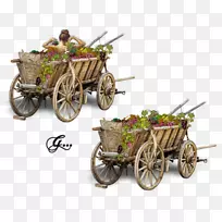 马车葡萄干-空若网 马车葡萄干-空若网