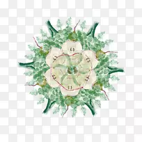 Westin la Quinta�߶���ȼٴ����ȪWestin�Ƶ�Ͷȼٴ������Ԣ-Man��del����-������