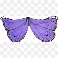 鸟翼毛茸茸的蝴蝶澳大利亚沼泽翅膀材料-空若网 鸟翼毛茸茸的蝴蝶澳大利亚沼泽翅膀材料-空若网