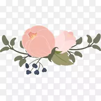 Ë®²Ê»£º»¨»Ü¿ÉÉìËõͼÐÎË®²Ê»»¨»Ü-¿ÕÈôÍø Ë®²Ê»£º»¨»Ü¿ÉÉìËõͼÐÎË®²Ê»»¨»Ü-¿ÕÈôÍø