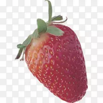 ��ݮ���͵���-������