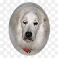 �����ţ˹Ȯ��ֳ�����ػ�Ȯ����-�׹�-������