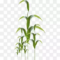 �ݼ�����-��-������