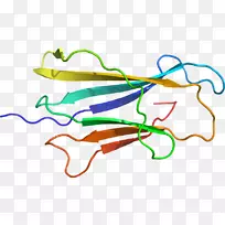 �ߵ������������-������