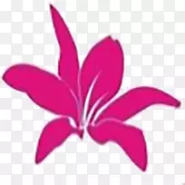 Android-Android浏览器-空若网 Android-Android浏览器-空若网