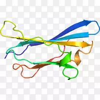 线点剪贴画-线-空若网 线点剪贴画-线-空若网