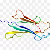 �ߵ������-��-������