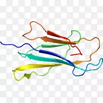线点剪贴画-线-空若网 线点剪贴画-线-空若网