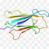 �ߵ������������-������