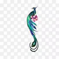 ���ȸ-��ɫ������װ��ͼ��-������