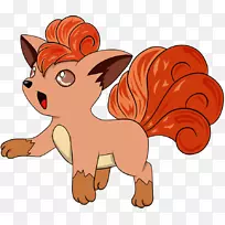 猫科动物-猫科动物-空若网 猫科动物-猫科动物-空若网