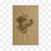 犬鼻杂交犬-空若网 犬鼻杂交犬-空若网