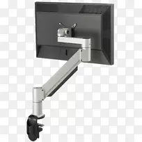 鸟类图形卡和视频适配器电子视觉显示计算机显示器电子设备-空若网 鸟类图形卡和视频适配器电子视觉显示计算机显示器电子设备-空若网