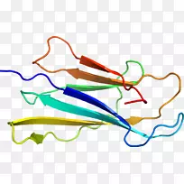 �ߵ������-��-������