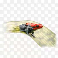 ÍÜÍÜ-¿ÕÈôÍø ÍÜÍÜ-¿ÕÈôÍø