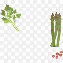 叶、蔬菜、植物茎、替代保健服务、药用树种-空若网 叶、蔬菜、植物茎、替代保健服务、药用树种-空若网