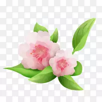 水彩画-花卉字母s-空若网 水彩画-花卉字母s-空若网