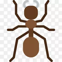 害虫防治床虫-昆虫-空若网 害虫防治床虫-昆虫-空若网