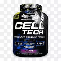 ��ʳ���������֧�������ἡ��-Ronnie Coleman-������