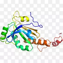 �ߵ������-��-������