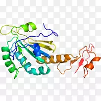 有机体线人类行为点剪贴画线-空若网 有机体线人类行为点剪贴画线-空若网