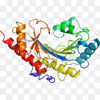人体首饰有机体线剪贴画线-空若网 人体首饰有机体线剪贴画线-空若网