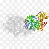 图形设计字体设计-空若网 图形设计字体设计-空若网