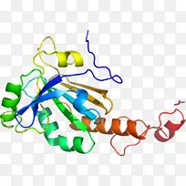 线点剪贴画-线-空若网 线点剪贴画-线-空若网