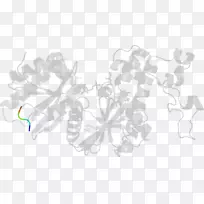 白色设计-空若网 白色设计-空若网