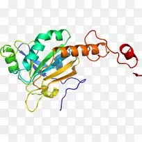 �ߵ������������-������