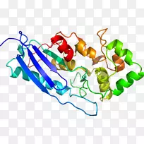 有机体蔬菜线剪贴画-蔬菜-空若网 有机体蔬菜线剪贴画-蔬菜-空若网