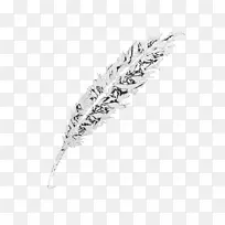 白色黑色羽毛图案-羽毛-空若网 白色黑色羽毛图案-羽毛-空若网