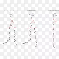 直线点角图-线-空若网 直线点角图-线-空若网
