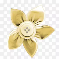 黄色按钮图标-黄色按钮-空若网 黄色按钮图标-黄色按钮-空若网