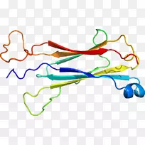 �ߵ������-��-������