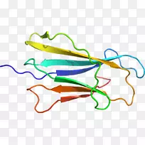 �ߵ������-��-������