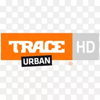 ׷�ٳ��е���Ƶ����Ѳ��ŵĳ��е���-������