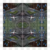 ���Գ�-��-������