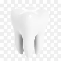 �׽����-������