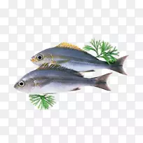 �Ĵ�������ʳ�������ʮ��̼��ϩ�ả����-��������PNG-������