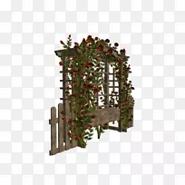 gimp Picasa Corel-arbour-空若网 gimp Picasa Corel-arbour-空若网